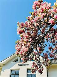 Hospice Rozenheuvel Leger Des Heils, Rozendaal openingstijden