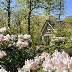 Summio Buitenplaats De Marke van Ruinen, openingstijden
