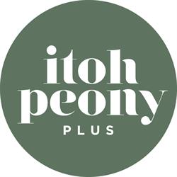 Itoh Peony Plus B.v., Sijbekarspel openingstijden