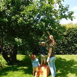 Buitenkids Bv, Twello openingstijden