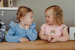Dondersteentjes Kindercentrum, Waalre openingstijden