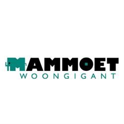 Mammoetwoongigant, Zwaagdijk-Oost openingstijden