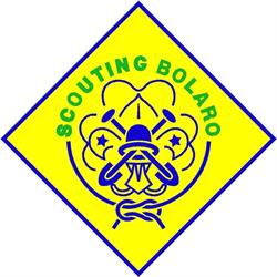 Scouting Bodegraven Bolaro, openingstijden