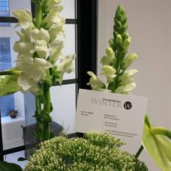 Advocatenkantoor Winter, Rotterdam openingstijden