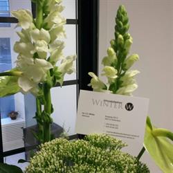 Advocatenkantoor Winter, Rotterdam openingstijden