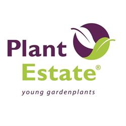 Plant Estate B.V., Raamsdonk openingstijden