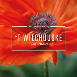 't Wilghuuske, Fleringen openingstijden