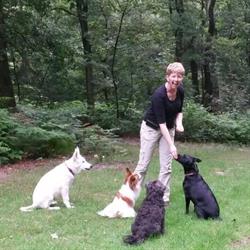 Total Doggy Care, Arnhem openingstijden
