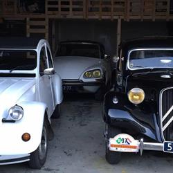 Citrorent, Lisse openingstijden
