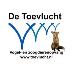Stichting De Toevlucht, Amsterdam Zuidoost openingstijden