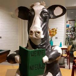 De Weide, Hoogeveen openingstijden