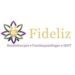 Fideliz Mediation & Relatietherapie, Heerenveen openingstijden