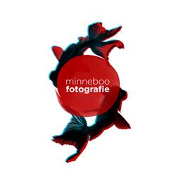 Minneboo Fotografie, Eindhoven openingstijden