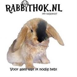 rabbithok, Purmerend openingstijden
