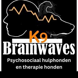 K9Brainwaves, Hardenberg openingstijden