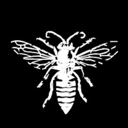 Black Bee Productions, Amsterdam openingstijden