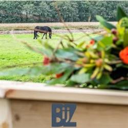 Uitvaartzorg BijZonder, Rolde openingstijden