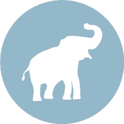 Humming Blue Elephant Massagetherapie & Lichaamsgerichte Coaching, Utrecht openingstijden