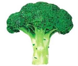 Appelman Vegetables BV, Stompetoren openingstijden
