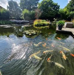 Beleef Water & Tuin, Geldrop openingstijden