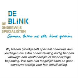 De Blink, Veenendaal openingstijden