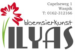 Bloemsierkunst Ilyas, Waspik openingstijden