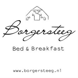 Borgersteeg, Neede openingstijden