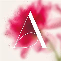 Bureau APS, Rotterdam openingstijden
