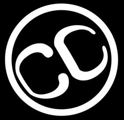 CC Engineering BV, Bleiswijk openingstijden
