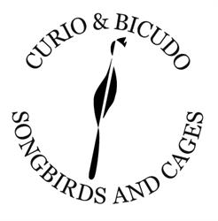 Curio & Bicudo, Rotterdam openingstijden