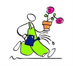De tuinplantenmarkt Ens, openingstijden