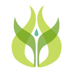 De Waard Flowerbulbs V.O.F., Castricum openingstijden