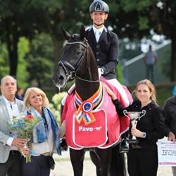 Driessen Dressage Horses B.V., Heteren openingstijden