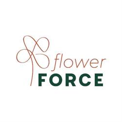 Flower Force BV, Honselersdijk openingstijden