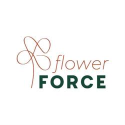 Flower Force BV, Honselersdijk openingstijden