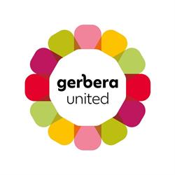 Gerbera United Holding BV, Moerkapelle openingstijden