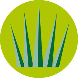 Greenfields BV, Nijverdal openingstijden