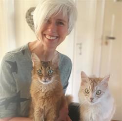 Happy Cat by Sylvia, Hilversum openingstijden