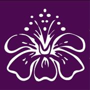 Ira Dewi, Zaandam openingstijden