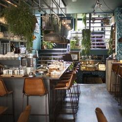Luc., Utrecht openingstijden