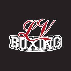 LV-Boxing, Leidschendam openingstijden