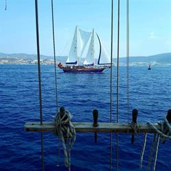 Guldeniz Sailing Cruises Nl/MAVI Travel Blue Cruise, Amersfoort openingstijden