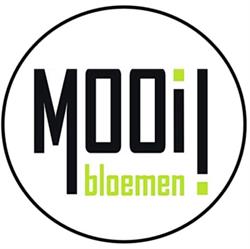 De Mooij Bloemen, Lisse openingstijden