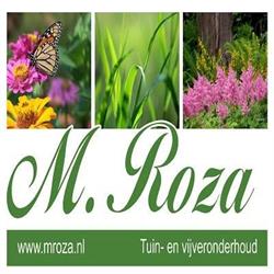 M. Roza, Veen openingstijden