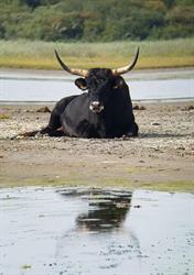 Summio Park Zeedijk, Herkingen openingstijden