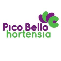 Pico Bello Hortensia vof, Bleiswijk openingstijden