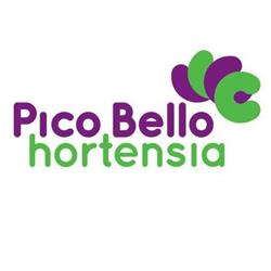 Pico Bello Hortensia vof, Bleiswijk openingstijden
