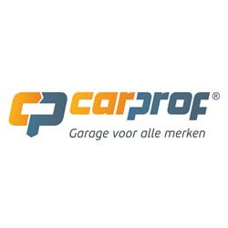 CarProf Spiering & Pluym Delfgauw, openingstijden