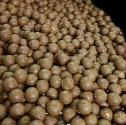 Pollard Baits, Acquoy openingstijden