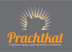 Prachtkat, Doetinchem openingstijden